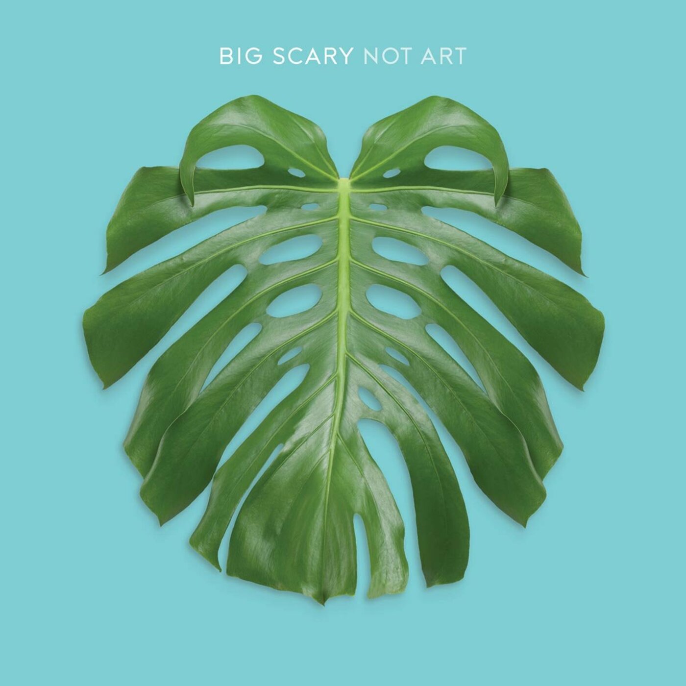 Not Art Music CD