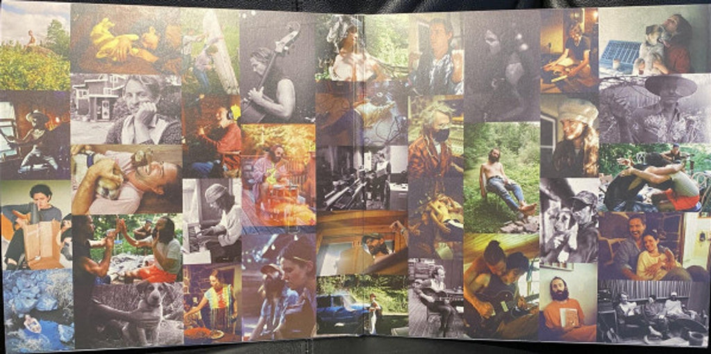 Big Thief – Dragon New Warm Mountain I Believe In You (2-LP Vinyl) Vinyl Record