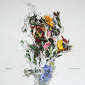 A Chaos of Flowers (Pink Vinyl) |