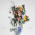 A Chaos of Flowers Vinyl Record