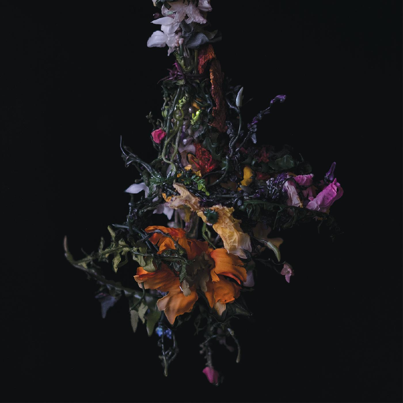 nature morte Music CD