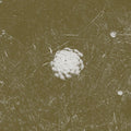 The Clear Distance Music CD