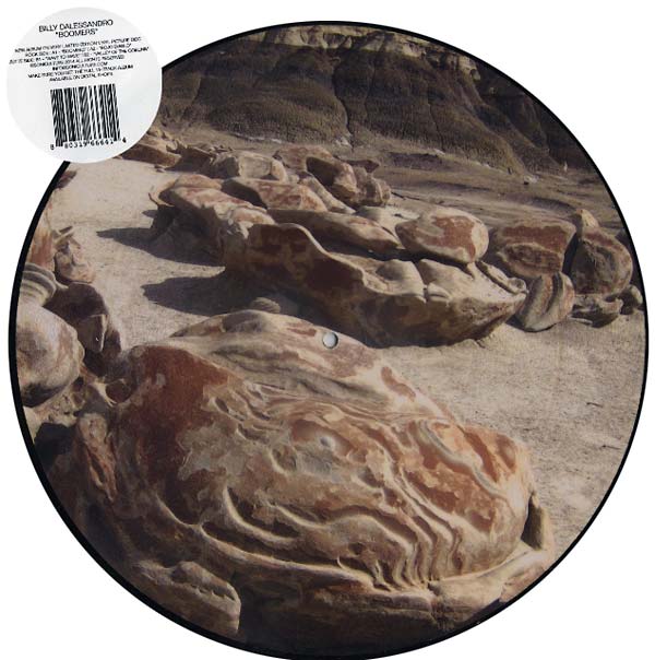 Boomers Vinyl Record