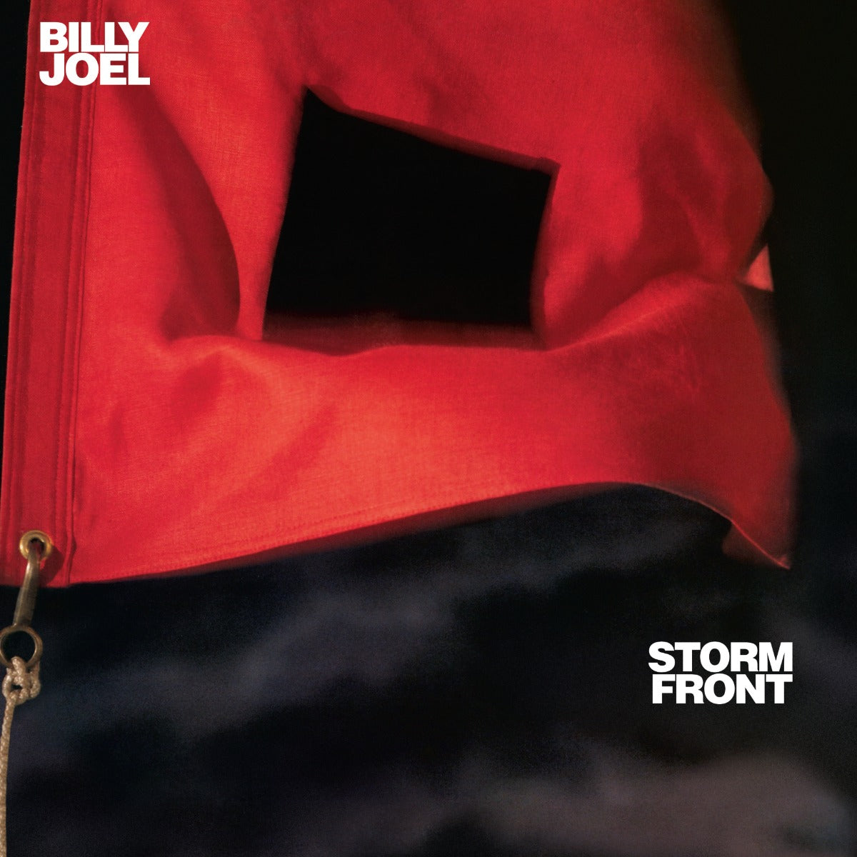 Storm Front Vinyl Record