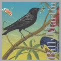 Starlings Music CD