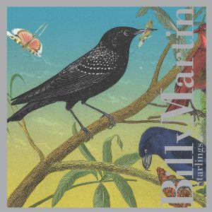 Starlings Music CD