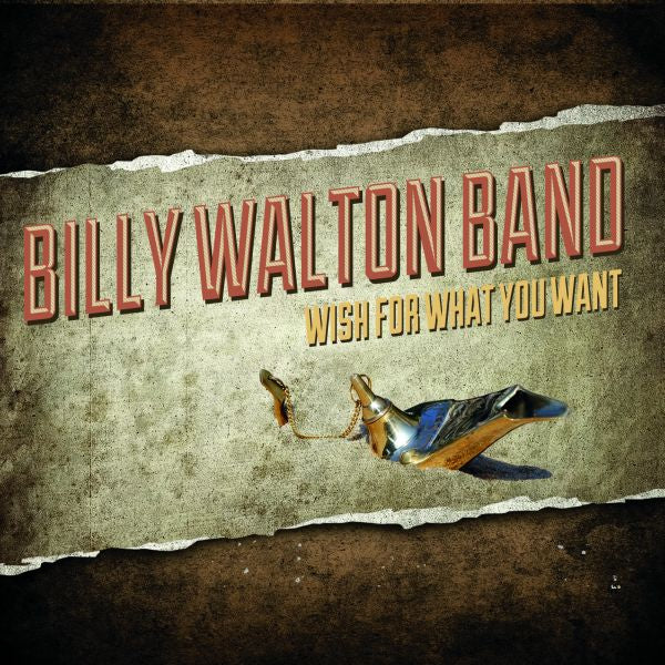 Wish For What You Want Music CD