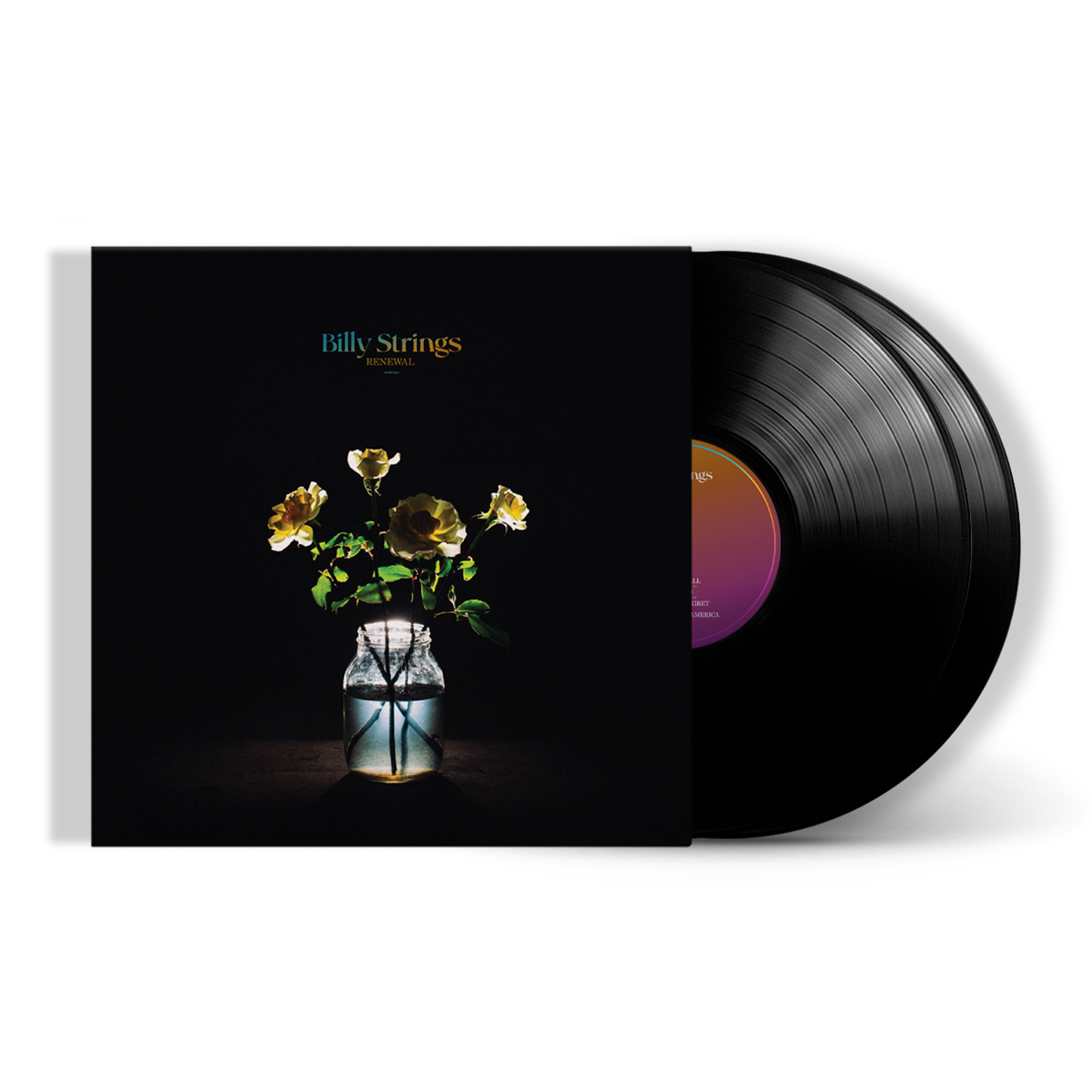 Renewal - Black Vinyl Record 2LP