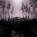 This Kindly Slumber Music CD