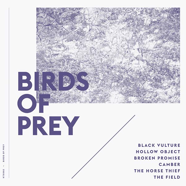 Birds of Prey Vinyl Record