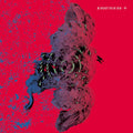 Birdstriking Music CD