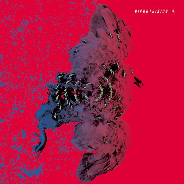 Birdstriking Music CD