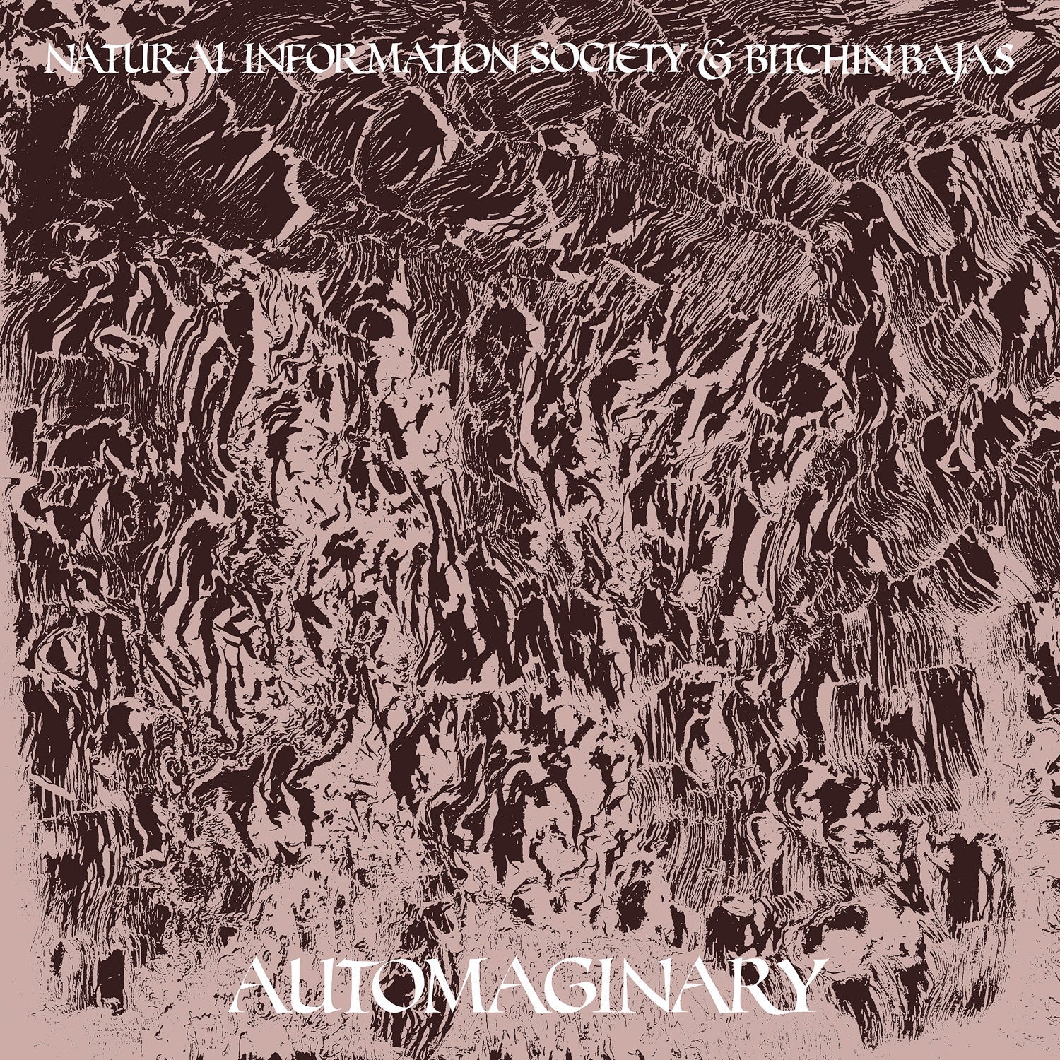 Automaginary Vinyl Record