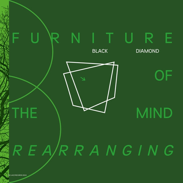 Furniture Of Mind Rearranging Vinyl Record