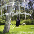 BLACK FOREST FIRE - Transit of Venus Vinyl Record