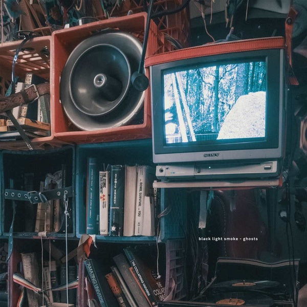 Ghosts Vinyl Record