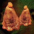 Oocyte Oil & Stolen Androgens Vinyl Record