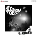 BLOSSOM TOES - Live On Radio & Tv [LP] Vinyl Record
