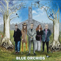 Magpie Heights Music CD