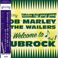 Welcome To Dubrock [Vinyl]