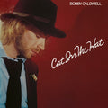 Cat In The Hat Vinyl Record