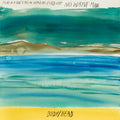 No Waves Vinyl Record