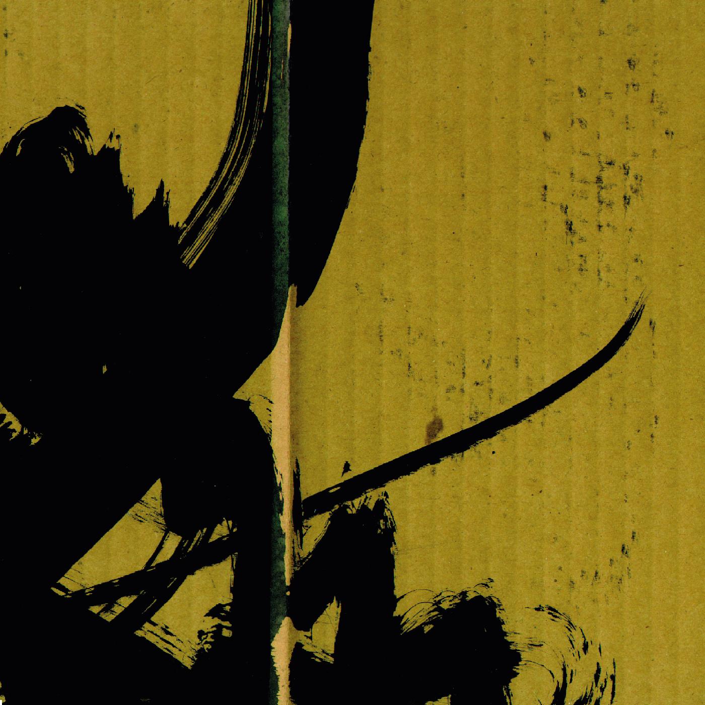 Samurai Math Beats Vinyl Record