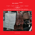 N.P.D.S. Vinyl Record