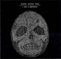 Bonnie 'Prince' Billy - I See A Darkness Music CD
