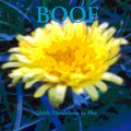 Shhh, Dandelions At Play Music CD