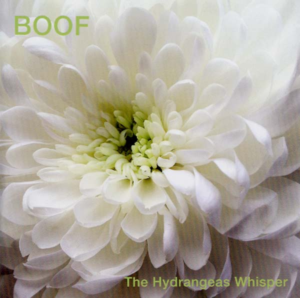 The Hydrangeas Whisper Music CD