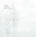 BOSAINA - New York April-July 2013 / Two Names Upon The Shore Vinyl Record