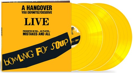 A Hangover You Definitely Deserve: Liver (Opaque Yellow Colored Vinyl, Photo / Photo Card, Poster) (3xVINYL) |