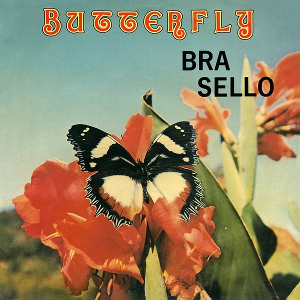 Butterfly Vinyl Record