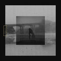 Mute Swan Vinyl Record
