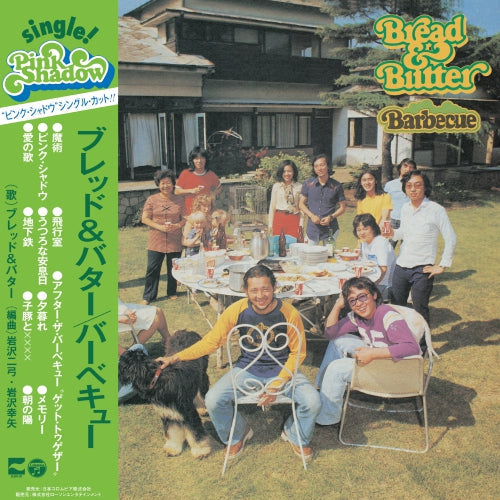 Barbecue Vinyl Record