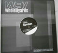 Dark Globe - Re-Ascent / Arnica (12" VINYL) |