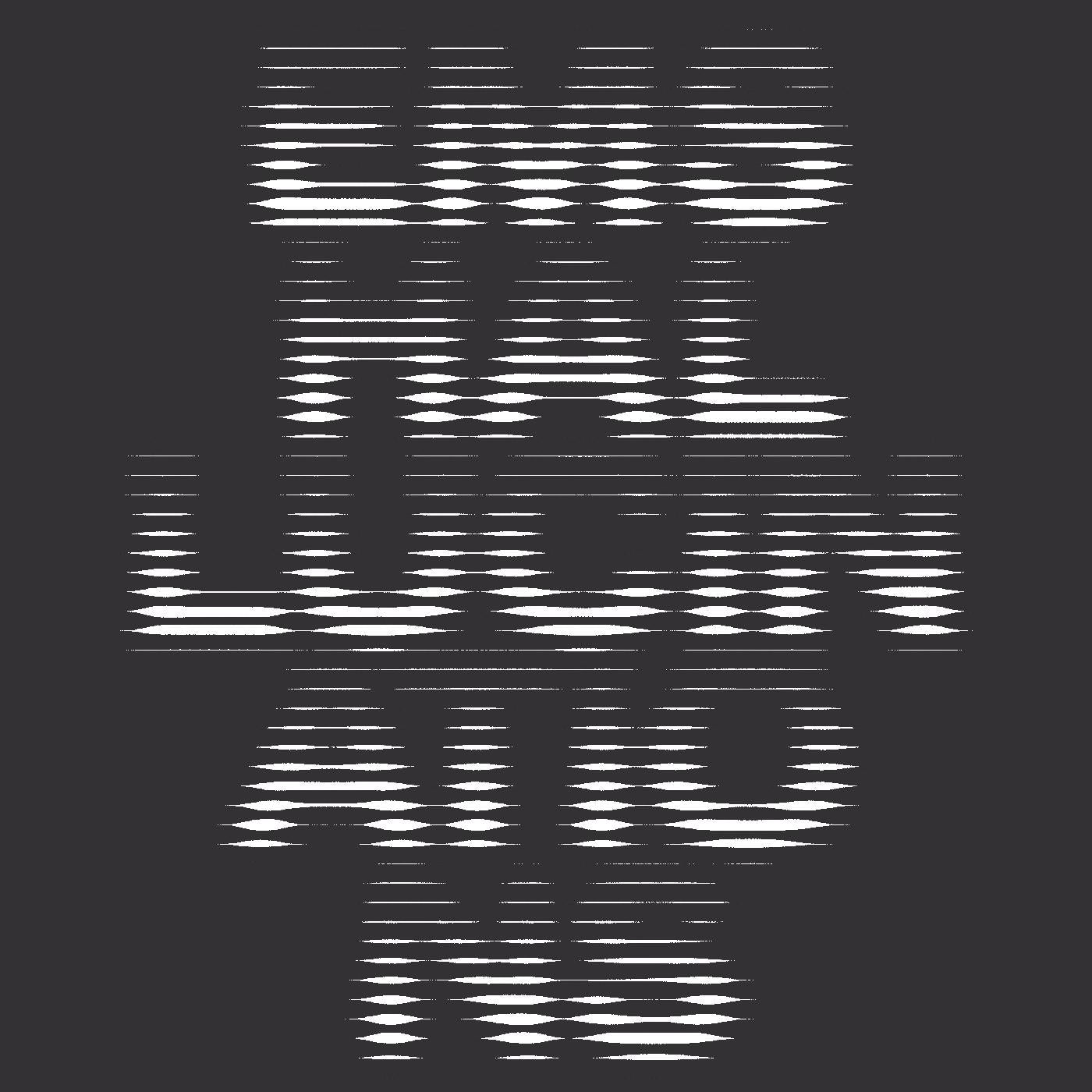 EMS Hallucinations Vinyl Record
