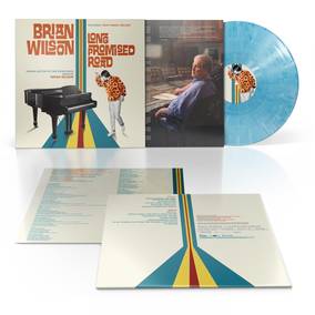 Brian Wilson Long Promised Road (RSD11.25.22) Vinyl Record