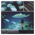 Bring Me The Horizon - Count Your Blessings [Ecovinyl LP] [Vinyl] Vinyl Record