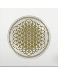 Sempiternal (Indie Exclusive, Limited Edition, Picture Disc Vinyl, Anniversary Edition) Vinyl Record