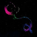 The Snake Vinyl Record