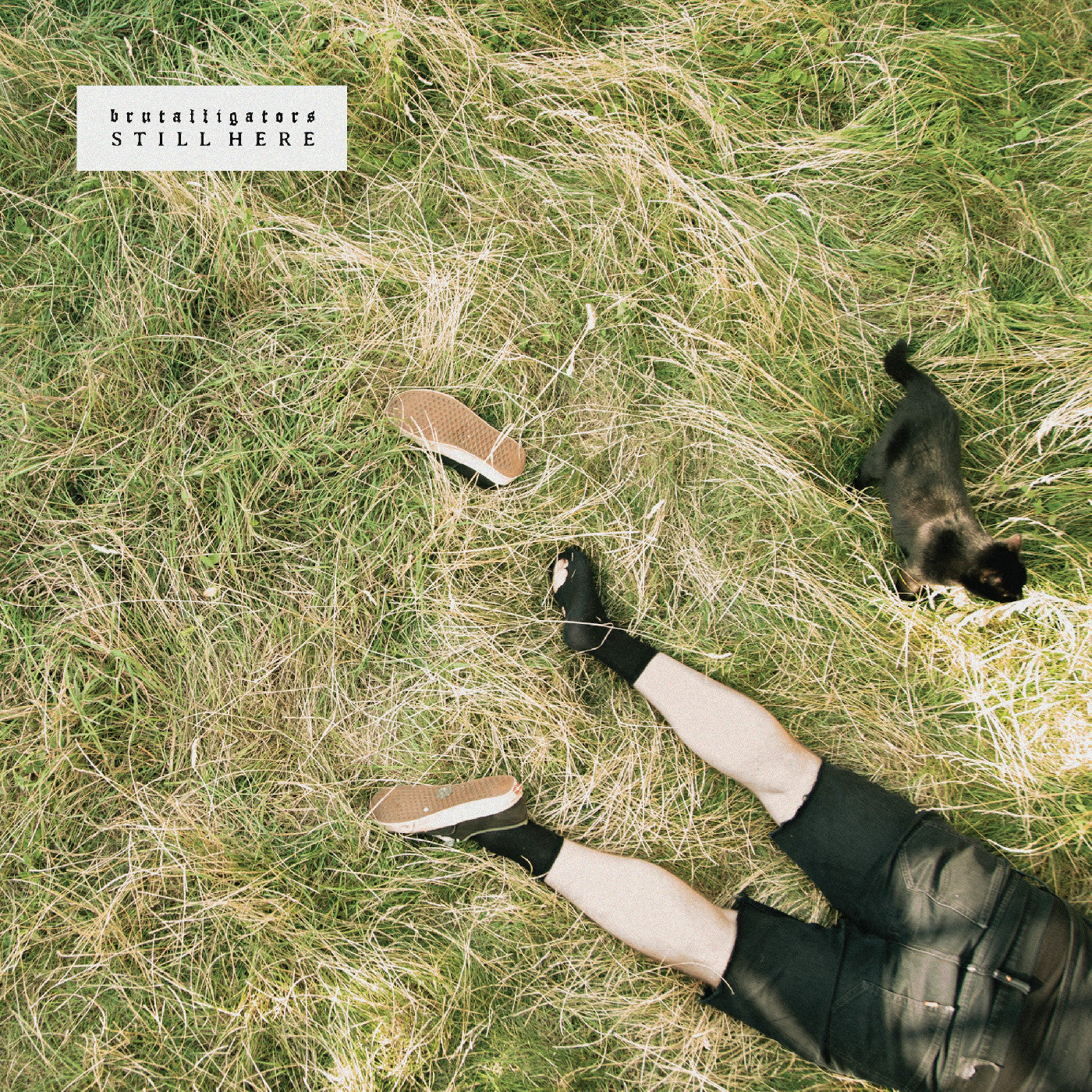 Still Here (Indie Exclusive Grassy Green Marbled Vinyl) Vinyl Record
