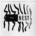 Nest Vinyl Record