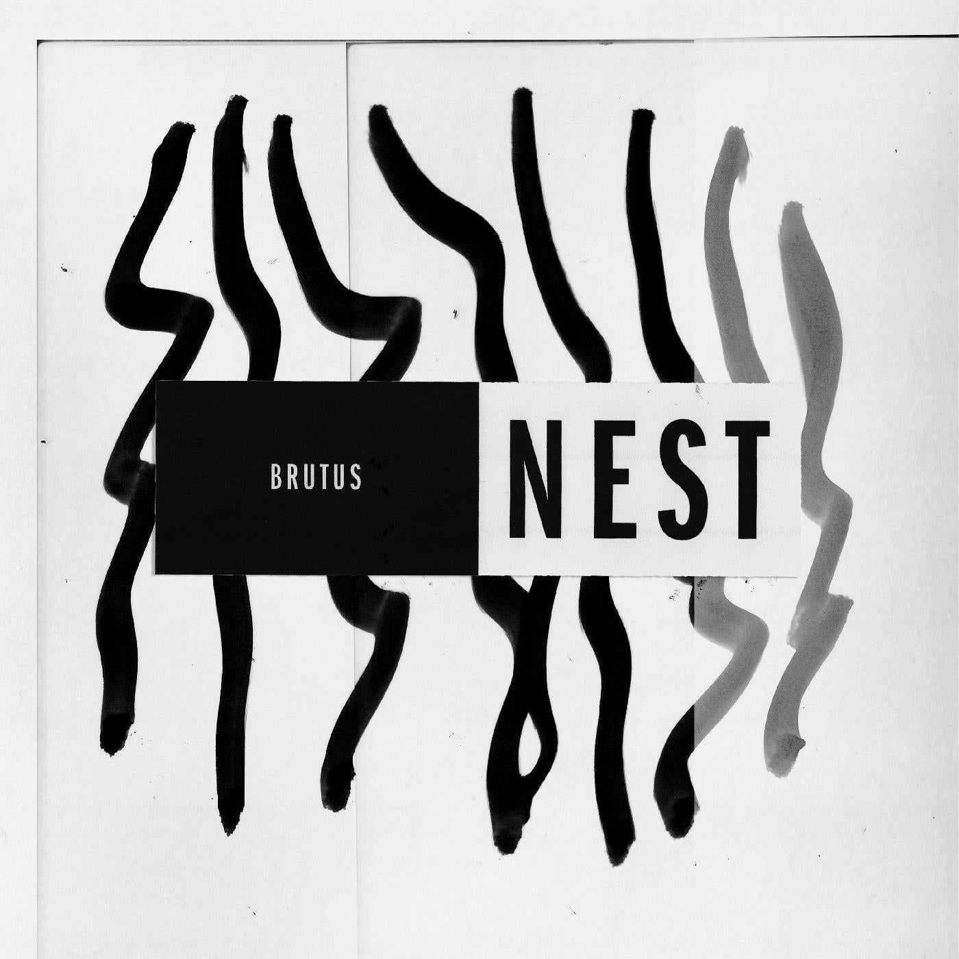 Nest Vinyl Record