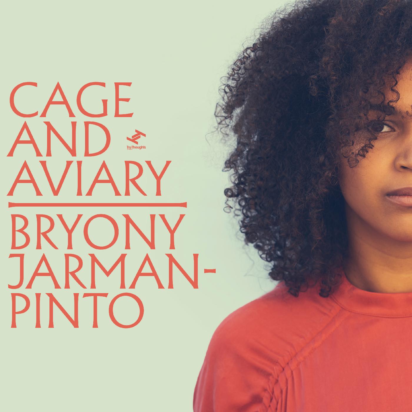 Cage and Aviary Vinyl Record