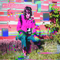 Ambitions Of Ambiguity (PINK VINYL) Vinyl Record