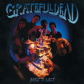 Grateful Dead Built to Last Vinyl Record