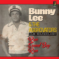 Run Sound Boy Run Music CD