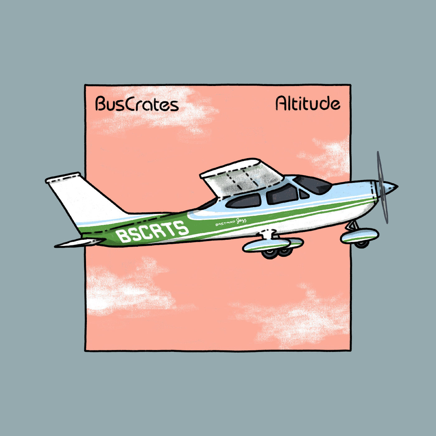 Altitude Vinyl Record